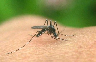 北京報告首例輸入性寨卡病毒病病例：擴散可能性低