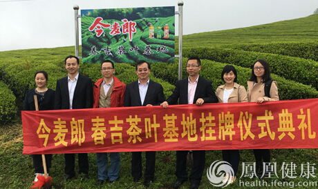 今麥郎建立云貴茶基地 健康好茶的秘密