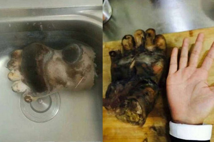 女子曬吃熊掌照 網友-嘴下留情放過野生動物吧