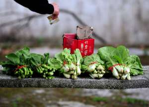 菜攤檔主打傷顧客：為了掉落的菜葉打傷人賠償11萬 切記和氣生財