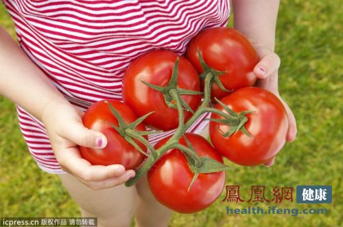 中科院培育出能抗衰老番茄 富含抗氧化劑