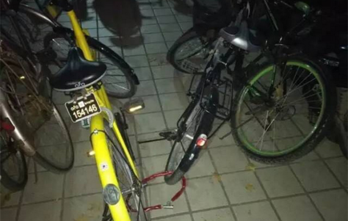 護(hù)士鎖小黃車被拘 網(wǎng)友-共享單車素質(zhì)的照妖鏡