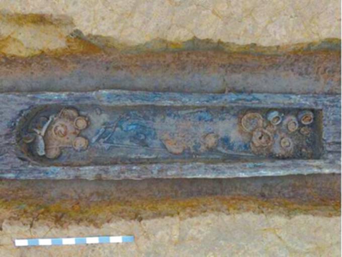 工地現戰國船棺墓：2000年前成都和古埃及就有聯系了？