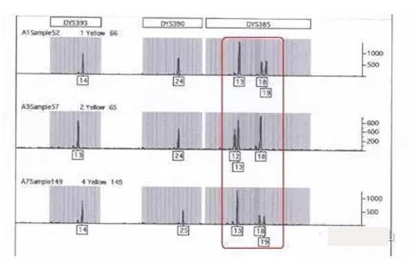 唐駁虎：白銀案告破背后，是基因科學又一次飛躍