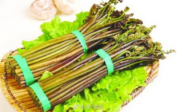 央視曝光這種菜竟致癌 春天家家戶戶都常吃
