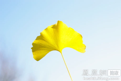 寧波立華制藥違法生產銷售銀杏葉提取物及制劑被處罰