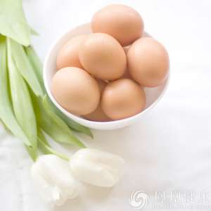 食藥監(jiān)總局：不要追求土雞蛋 蛋殼顏色與營(yíng)養(yǎng)無(wú)關(guān)