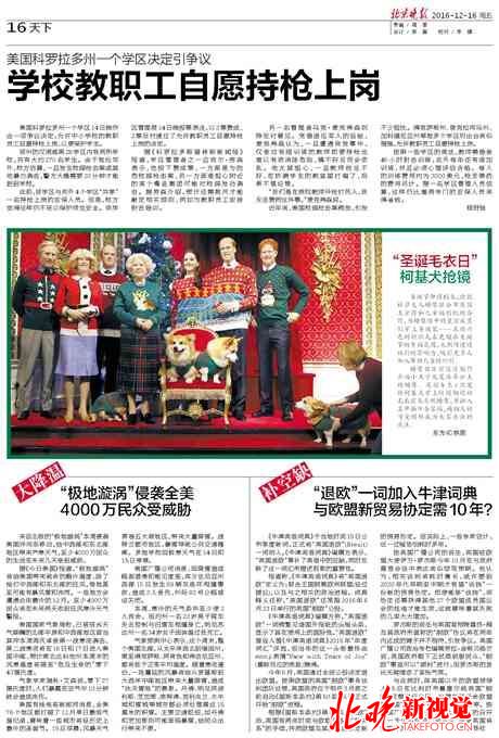 老人給雞織毛衣 穿上毛衣后下蛋數量明顯增？