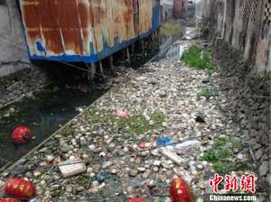 浙江一企業家懸賞20萬請環保局長下河游泳(圖)