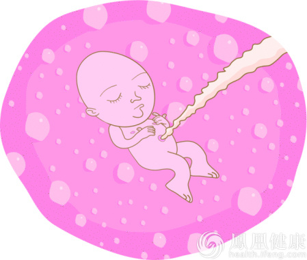 人體胎盤黑市被熱炒 專家：和吃肉沒多大區別