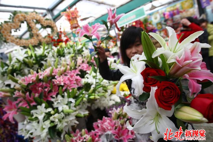 情人節(jié)送女友什么花合適 別送錯！這些花都有什么含義？