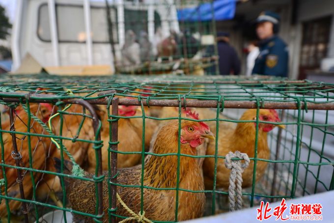 北京第二例h7n9 目前該患者病情較重日常生活我們要如何防范