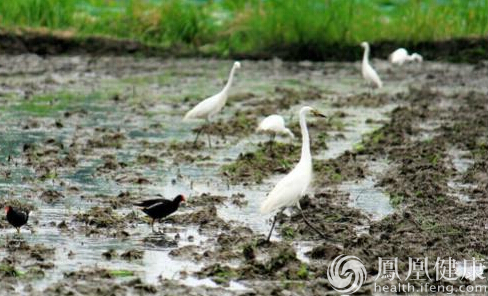 人們為什么要過“生物多樣性日”呢