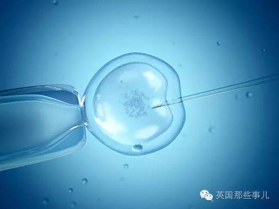 世衛組織說長期沒有性生活,可以被定義為殘疾-!