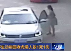 北京被老虎咬傷女子面臨多次整形手術 容貌難恢復