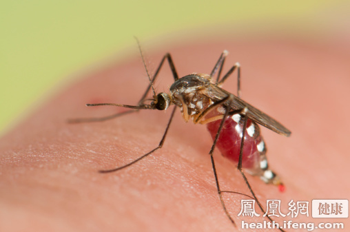 我國發現第2例寨卡病毒感染者