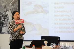 母乳喂養(yǎng)四大謠言，你中了嗎？