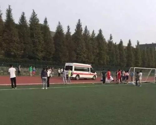 南京大學一大三男生跑千米體測時暈倒在地 不幸離世(圖)