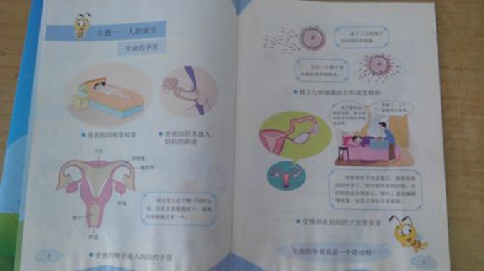 小學性讀本引吐槽 老師：孩子都捂住眼睛，大喊，羞羞臉！我不敢看！