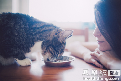 女生腹部取出十多厘米長活蟲 疑與抱貓睡覺有關