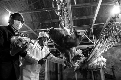 北京確認今年首例H7N9禽流感病例 感染者仍在治療