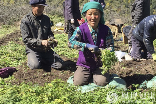 無限極建中草藥中心還消費者“安全感”