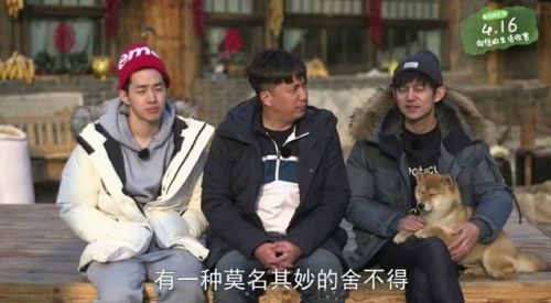 《向往的生活》結(jié)語，謝娜爆何炅大料，黃磊和任泉形成鮮明對比