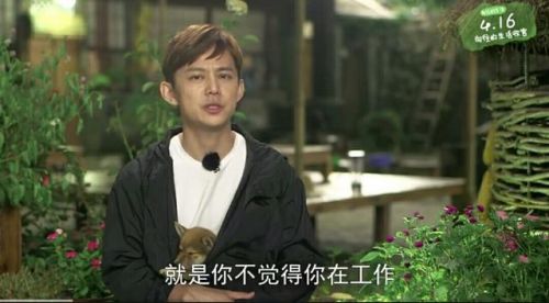 《向往的生活》結(jié)語，謝娜爆何炅大料，黃磊和任泉形成鮮明對比