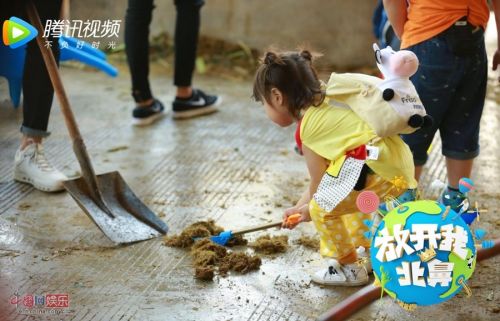 《放開(kāi)我北鼻2》出游有教育意義 小小鏟屎官呼吁愛(ài)護(hù)動(dòng)物