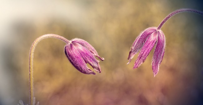 吳磊高情商娛樂(lè)圈很多男星都比不過(guò)網(wǎng)友可能
