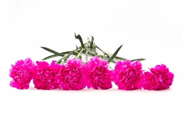 找到你孫芳經(jīng)歷了什么