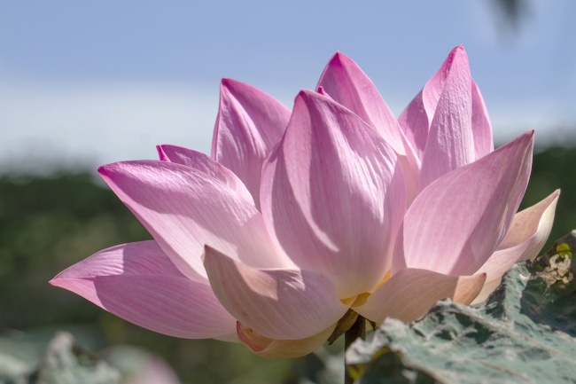 鹿晗談戀情要負(fù)責(zé)任關(guān)曉彤回應(yīng)要保持身材