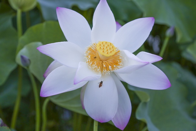 請(qǐng)你看詩(shī)人余秀華紀(jì)錄片搖搖晃晃的人間