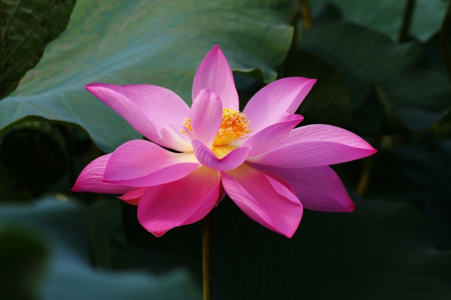 中國(guó)電影產(chǎn)業(yè)已進(jìn)入內(nèi)容為王的良性發(fā)展階段